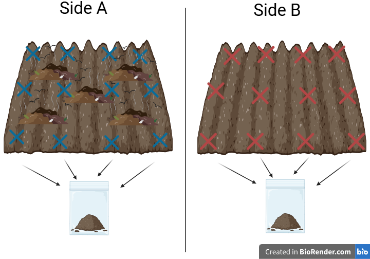 Garden Sampling Figure